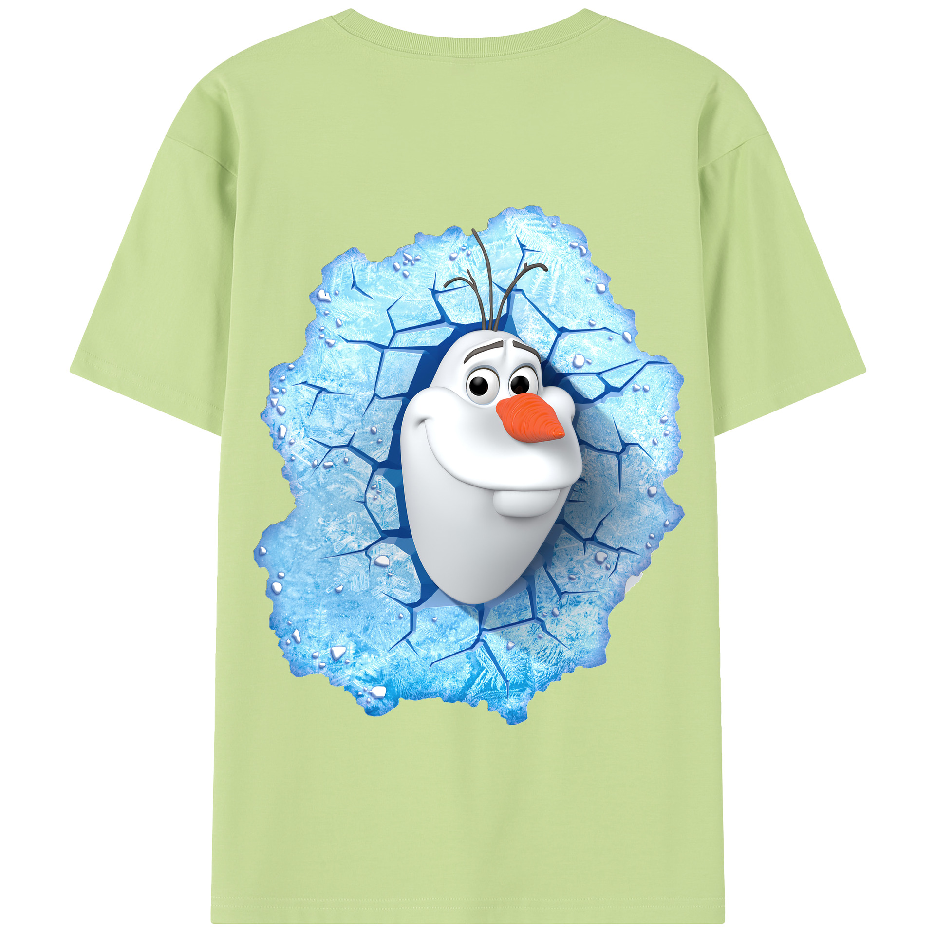 （画像用） アナと雪の女王 アンナ エルサ Frozen Anna Elsa 綿100％半袖Tシャツ（背面プリント）